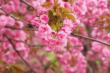 上海松江区线下个人借款平台一站式服务，轻松解决资金难题
