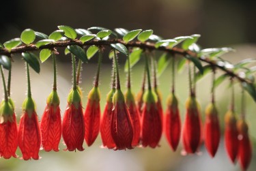 上海松江区零用贷短借：轻松解决临时资金需求