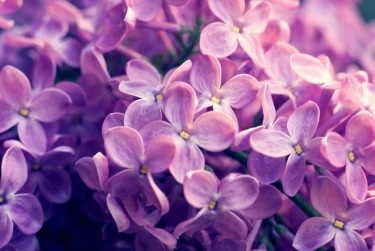 上海松江区企业急用钱贷款攻略：快速融资解燃眉之急